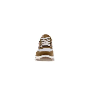 Ara baskets 32442 79 blanc multicouleurs