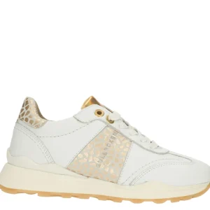 Bull boxer baskets et sneakers aex002e5l blanc