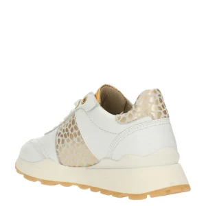 Bull boxer baskets et sneakers aex002e5l blanc