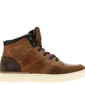 Bull boxer sneakers 887k51076a marron