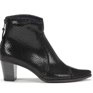 Dorking boots d6034 sup noir