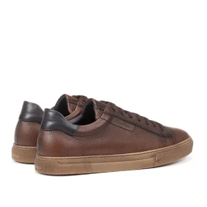 Fluchos sneakers f1336 marron