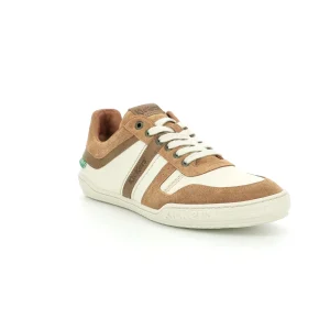 Kickers sneakers jumpe marron
