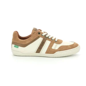 Kickers sneakers jumpe marron