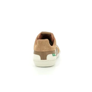 Kickers sneakers jumpe marron