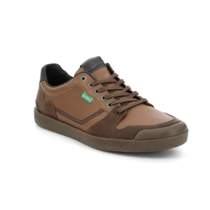 Kickers sneakers kick trigolo marron