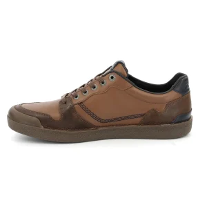 Kickers sneakers kick trigolo marron