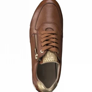 Marco tozzi baskets 2375726 marron