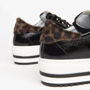 Nero giardinni baskets et sneakers i031690f noir