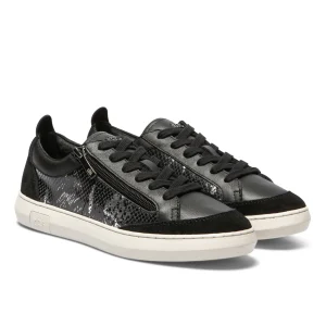 Tbs baskets pannosa noir