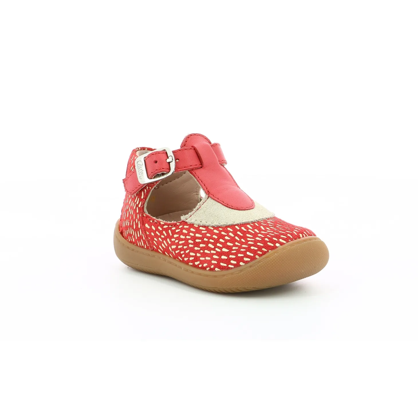aster_semi_ouverte_patti__0-2.webp Aster semi ouverte patti rouge