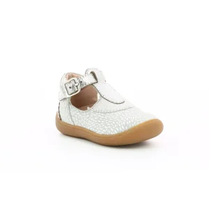 Aster semi ouverte patti gris