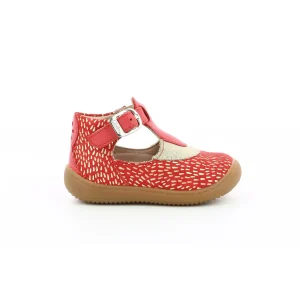 Aster semi ouverte patti rouge