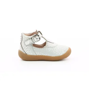 Aster semi ouverte patti gris