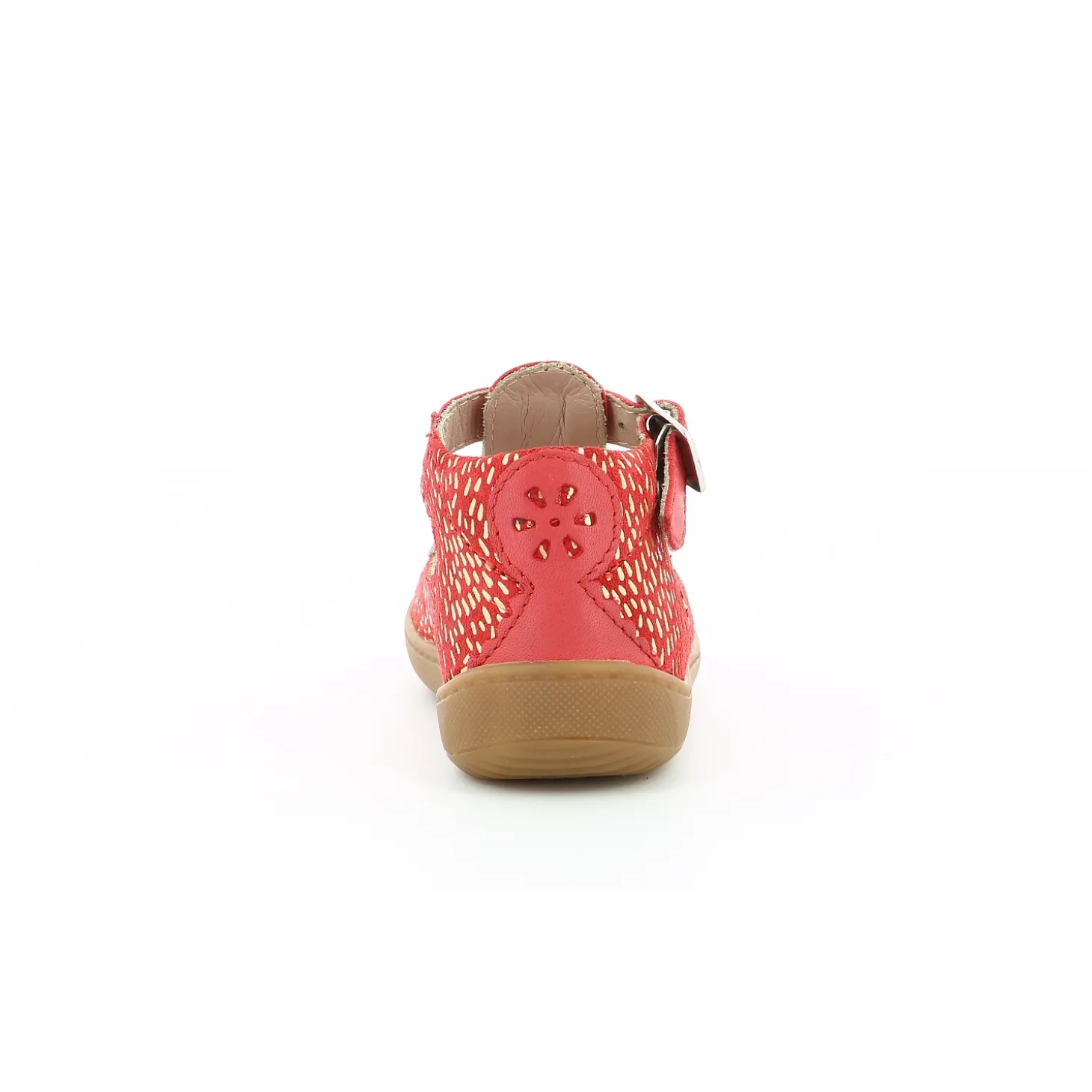 aster_semi_ouverte_patti__2-2.webp Aster semi ouverte patti rouge