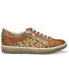 Dorking chaussures a lacets d8506 marron