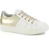 Gbb baskets et sneakers danina or