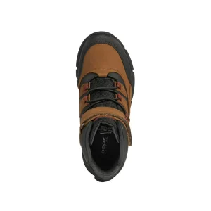 Geox bottines j169xa marron