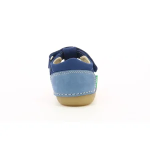 Kickers premiers pas sushy bleu