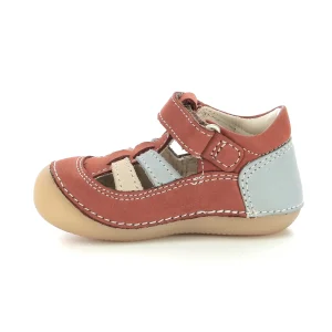 Kickers premiers pas sushy marron