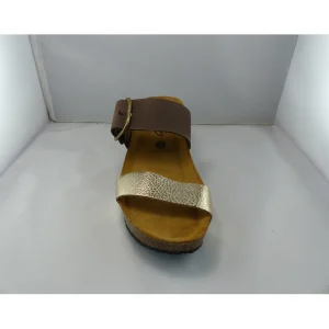 Plakton mules so rock marron
