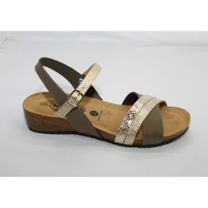Plakton tongs norte kaki